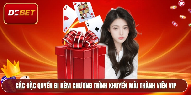 Các đặc quyền đi kèm chương trình khuyến mãi thành viên VIP