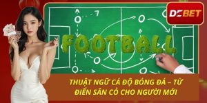 Thuật Ngữ Cá Độ Bóng Đá – Từ Điển Sân Cỏ Cho Người Mới